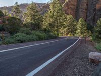 Asphalt Road in Zion National Park, Utah