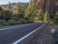 Asphalt Road in Zion National Park, Utah