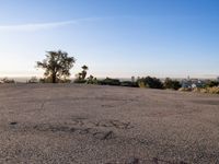 Asphalt Roads and Helipads at Dawn in Los Angeles
