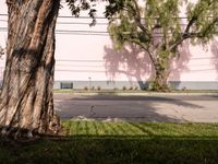Asphalt Roads in Urban Los Angeles