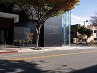 Asphalt Roads of Los Angeles: Under the Clear California Sky