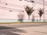 Asphalt Roads of Los Angeles: A Clear Sky Day