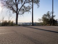 Asphalt Roads of Los Angeles: A Day Under Clear Skies