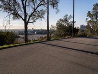 Asphalt Roads of Los Angeles: A Day Under Clear Skies