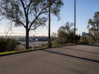 Asphalt Roads of Los Angeles: A Day Under Clear Skies