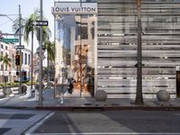 Asphalt Roads of Los Angeles: Shopping Under Clear Skies