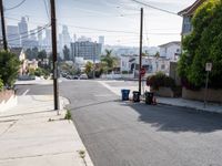 Asphalt Roads of Los Angeles: A Glimpse into Urban California