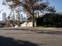 Asphalt Roads in Los Angeles: Urban Cityscape