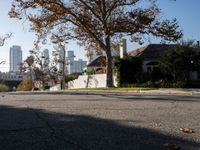 Asphalt Roads in Los Angeles: Urban Cityscape