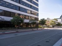 Asphalt Roads in Los Angeles: The Urban Landscape