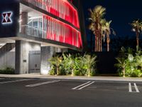 Asphalt Roads of Los Angeles: Urban Nightscape