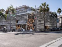 Asphalt Roads of Los Angeles: Urban Shopping Delight