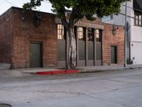 Asphalt Roads of Los Angeles: Under the Clear Californian Sky