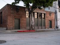 Asphalt Roads of Los Angeles: Under the Clear Californian Sky
