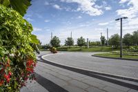 Asphalt Roads of Toronto, Canada: Connecting the Urban Landscape