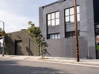 Asphalt Roads and Urban Architecture in Los Angeles