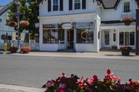 Asphalt Street with Houses and Trees