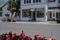 Asphalt Street with Houses and Trees