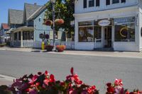 Asphalt Street with Houses and Trees