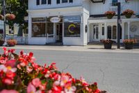 Asphalt Street with Houses and Trees
