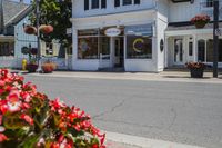 Asphalt Street with Houses and Trees
