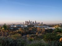 Asphalt Surface in Los Angeles, USA