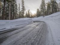 Asphalt Winding Road Through the Wilderness