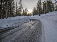 Asphalt Winding Road Through the Wilderness