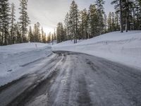 Asphalt Winding Road Through the Wilderness