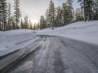 Asphalt Winding Road Through the Wilderness