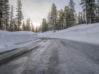 Asphalt Winding Road Through the Wilderness