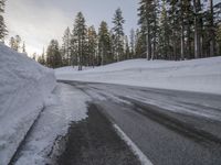 Asphalt Winding Road Through the Wilderness