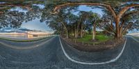 an image of the road from a fish eye lens to another view in a convex image