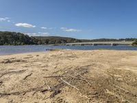 Australia's Bega River: Sandy Shores and Lush Trees