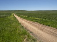 a dirt road that is winding into the distance surrounded by grass and flowers on either side