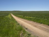 a dirt road that is winding into the distance surrounded by grass and flowers on either side