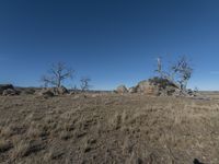 Australia Landscape Under a Clear Sky