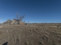 Australia Landscape Under a Clear Sky