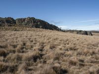 a brown and yellow grass field under a blue sky with rocks on it and another grass area below