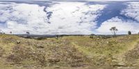 an image of some animals on a hill above grass and water and some mountains with trees