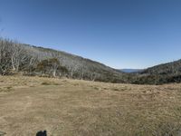 an empty grassy hill with several trees and the ground is dead grass and brown rocks