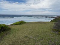 a grassy field with some water and the ocean in the background at a rocky shore