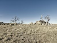 Australia New South Wales Landscape 001