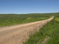 Australia New South Wales Landscape Nature