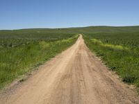 Nimmitabel Landscape: A Clear Sky in Australia