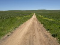 Nimmitabel Landscape: A Clear Sky in Australia