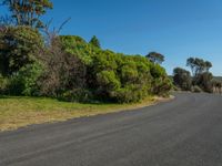 empty roadway by the beach with green grass and trees near by on hill at top