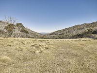 Rugged Mountains of Australia Under a Clear Sky