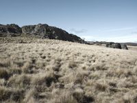 a barren mountain with dry grass and rocks against the blue sky overhead in australia with no clouds