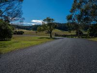 a rural road winding away from the horizon with a pasture and trees in the foreground